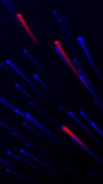 Yüksek enerjili, parlak, neon ışık çizgileri içeren dikey bir döngü alttan dışa doğru patlıyor, müzik ve olay görselleri için harika..