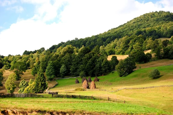 Yaz Alp, Transilvanya, Romanya