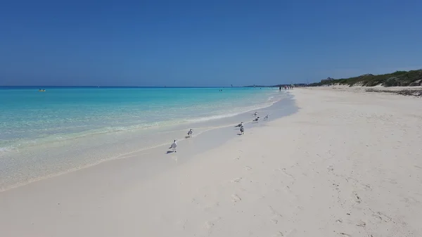 Küba - Caribbean beach 