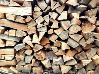 Kesilmiş odun yığını 