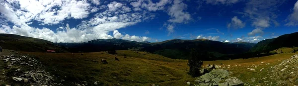 Transalpina road, Karpatlar, Romanya