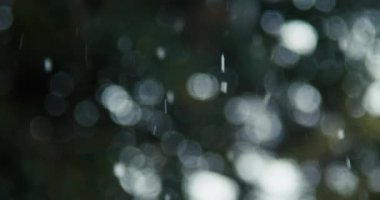 60 FPS 'de Düşleyen Kar Yavaş Çekimde