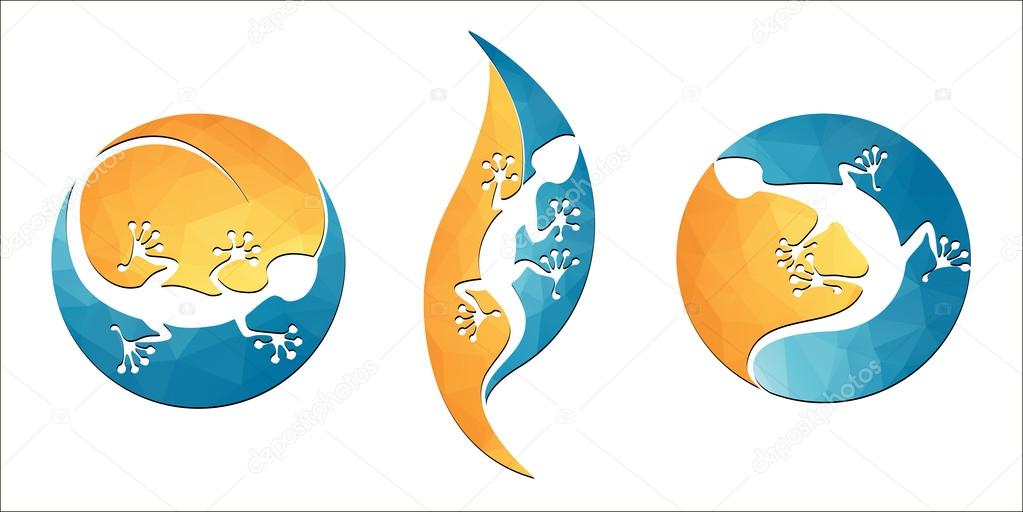 white lizard on the leaf set vector images