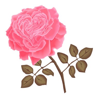 vektör pembe gül yaprakları ile. kalp şeklinde yaprakları