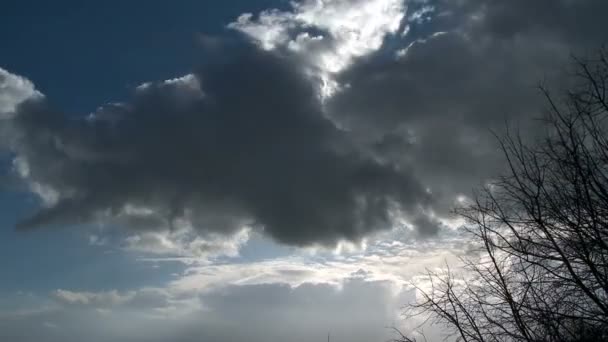 Time Lapse of clouds over trees — Stock Video