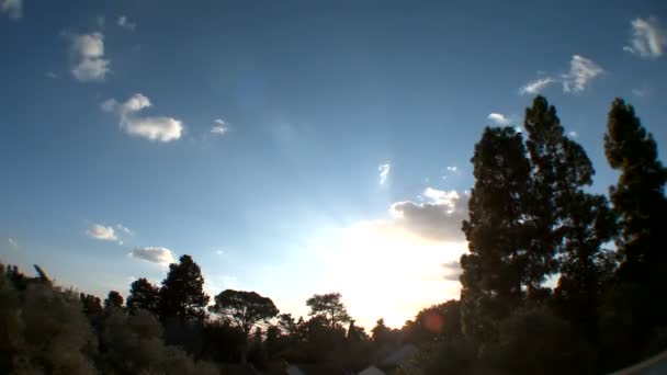 Час Лапс хмар над деревами — стокове відео