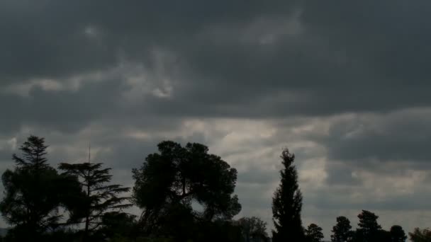 Lapso de tiempo de nubes sobre árboles — Vídeos de Stock