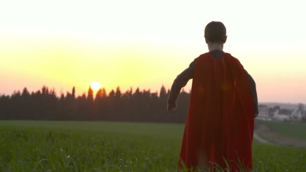 Pojke med en Stålmannen cape i ett fält under solnedgången — Stockvideo