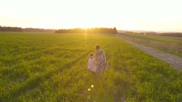 Duas irmãs correndo em um campo torce o pôr do sol — Vídeo de Stock