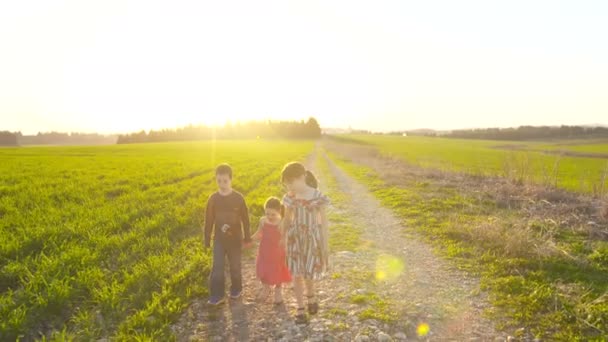 Três crianças caminhando em um campo durante o pôr do sol — Vídeo de Stock