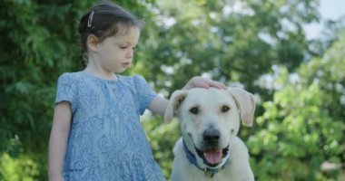 Büyük beyaz bir köpek ile oynarken küçük kız