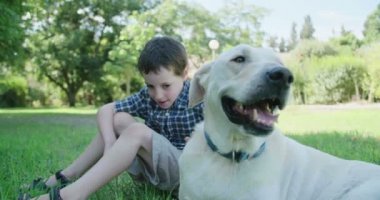 Büyük beyaz bir köpek ile açık havada oynayan çocuk