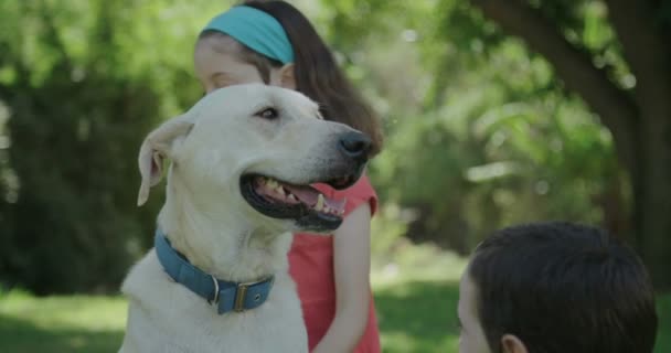 Due bambini che accarezzano e giocano con un grande cane bianco — Video Stock