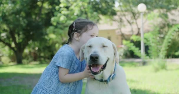 Маленькая девочка целует большую белую собаку — стоковое видео