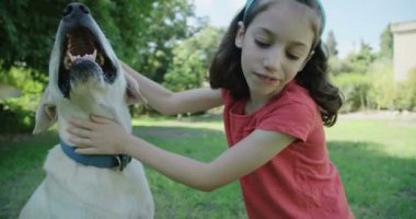 Bir kız sevişme ve köpekle oynamayı