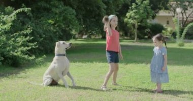 İki kız bir köpekle oynuyor.