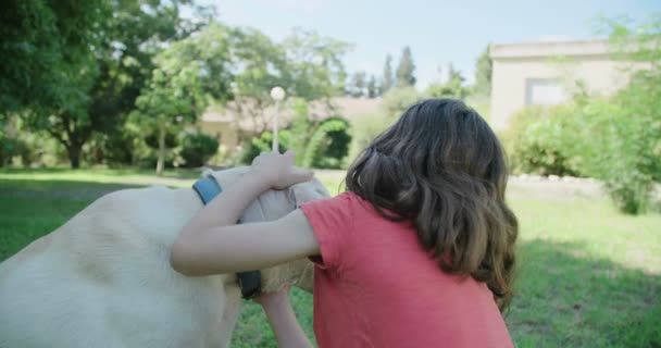 Bir kız sevişme ve köpekle oynamayı — Stok video