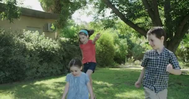 Barnen har roligt på naturen — Stockvideo