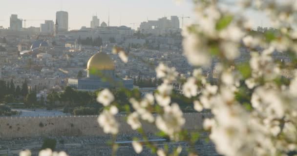エルサレム旧市街 — ストック動画