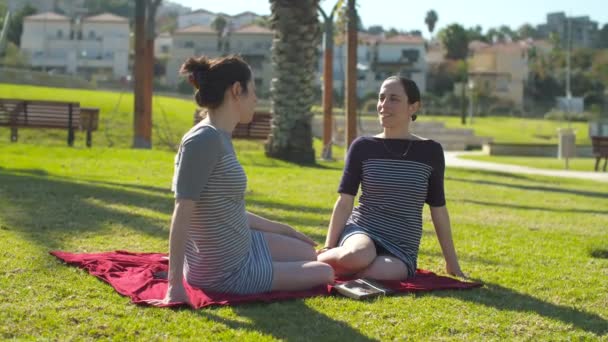 Gemelos idénticos pasando tiempo juntos — Vídeo de stock