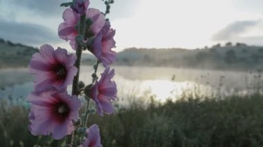 Gündoğumu sırasında sisli göl