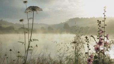 Gündoğumu sırasında sisli göl