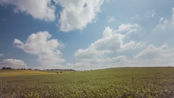 Временной отрезок облаков над пшеничным полем — стоковое видео