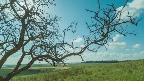 Upływ czasu strzał z chmury nad zielone wzgórza — Wideo stockowe