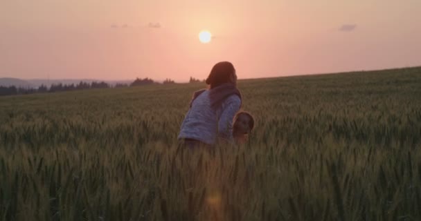 Una madre y su hija jugando en un campo de trigo al atardecer — Vídeos de Stock