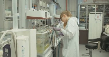 Tel Aviv, İsrail, Nisan 2016: İlaç şirketinde çalışan Eczacılar