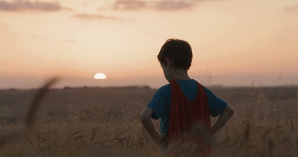 Young Boy Superman Cape Standing Golden Wheat Field Sunset Raising — Stock Video