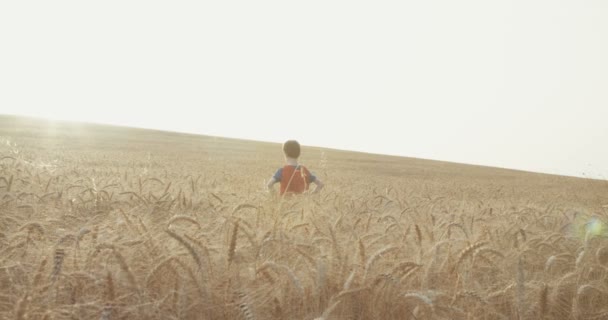 Jeune Garçon Avec Une Cape Surhomme Debout Dans Champ Blé — Video