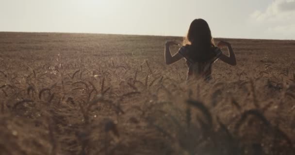 Niña en un campo de trigo dorado levantando las manos en felicidad frente al atardecer — Vídeos de Stock