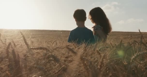 Menino e menina em um campo de trigo dourado durante o pôr do sol — Vídeo de Stock