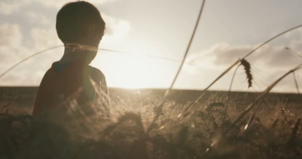 Young Boy Superman Cape Standing Golden Wheat Field Sunset Raising — Stock Video