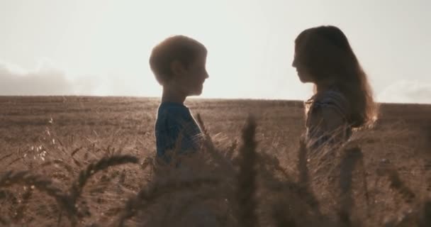 Мальчик и девочка стоят в поле на закате и обнимают друг друга — стоковое видео