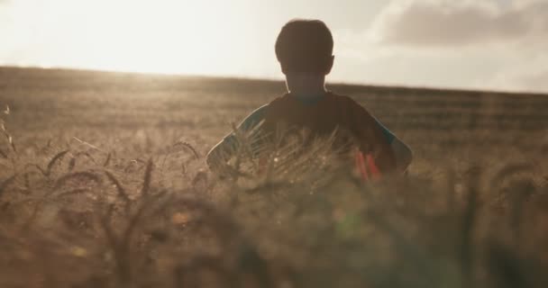 Giovane Ragazzo Con Mantello Superuomo Piedi Campo Grano Dorato Durante — Video Stock