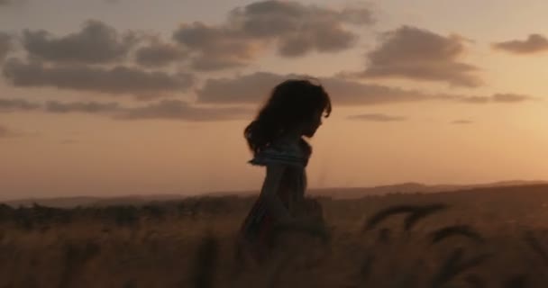 Νεαρό κορίτσι σε ένα πεδίο χρυσαφένιο σιτάρι σηκώνοντας τα χέρια της στην ευτυχία μπροστά από το ηλιοβασίλεμα — Αρχείο Βίντεο