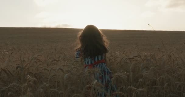 Niña en un campo de trigo dorado levantando las manos en felicidad frente al atardecer — Vídeos de Stock