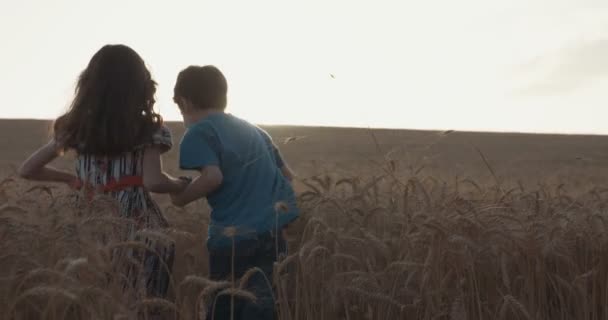 Niño y niña en un campo de trigo dorado al atardecer — Vídeos de Stock