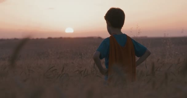 Young Boy Superman Cape Standing Golden Wheat Field Sunset Raising — Stock Video