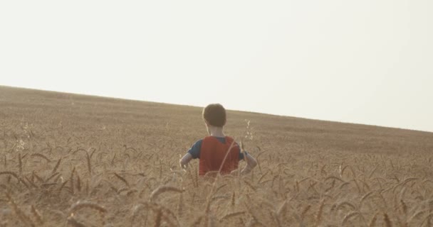 小男孩与超人斗篷站在金色的麦田中的日落 — 图库视频影像