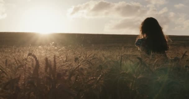 Молодая девушка на золотом пшеничном поле поднимает руки в счастье перед закатом — стоковое видео