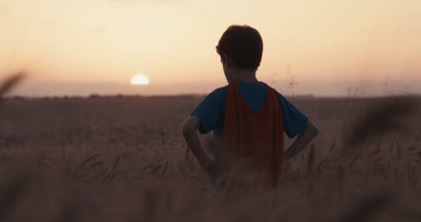 Νεαρό Αγόρι Μπέρτα Του Superman Στέκεται Ένα Πεδίο Χρυσαφένιο Σιτάρι — Αρχείο Βίντεο