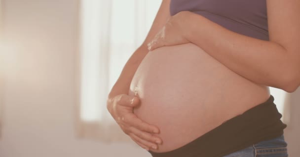 Femme enceinte caressant son ventre — Video