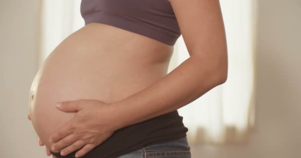 Mulher grávida acariciando sua barriga — Vídeo de Stock