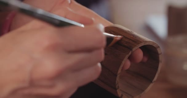 Artista cubierta de productos de madera con pintura transparente — Vídeo de stock