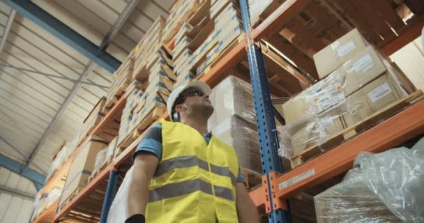 Captura de seguimiento de ángulo bajo de un trabajador logístico que camina en un gran almacén — Vídeos de Stock