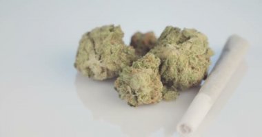 Beyaz yansıtıcı nackground üzerinde tıbbi esrar makro çekim