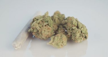 Beyaz yansıtıcı nackground üzerinde tıbbi esrar makro çekim